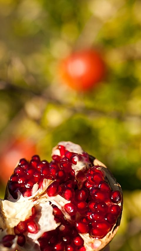 Närbild på delad Granatäpple