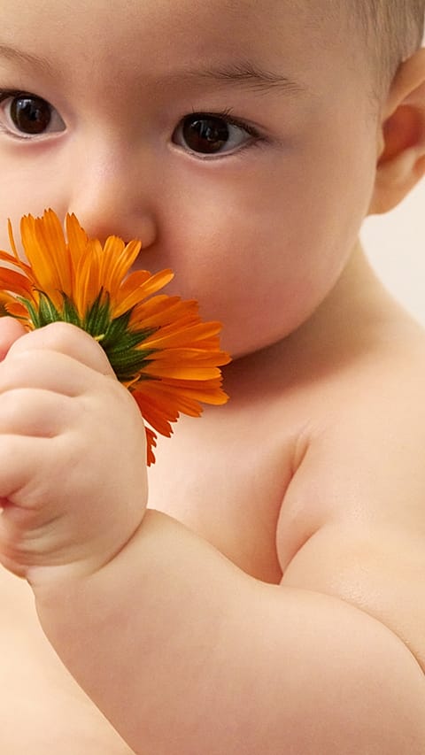 Bebis i närbild luktar på blomma