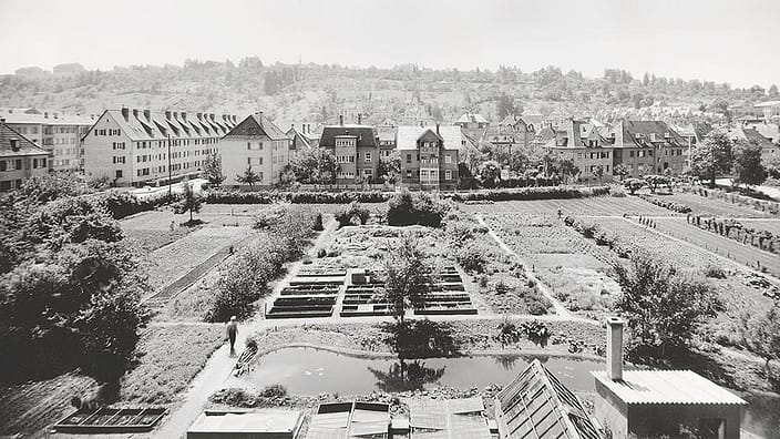 Weleda trädgård