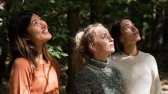 3 glada personer kollar mot solen