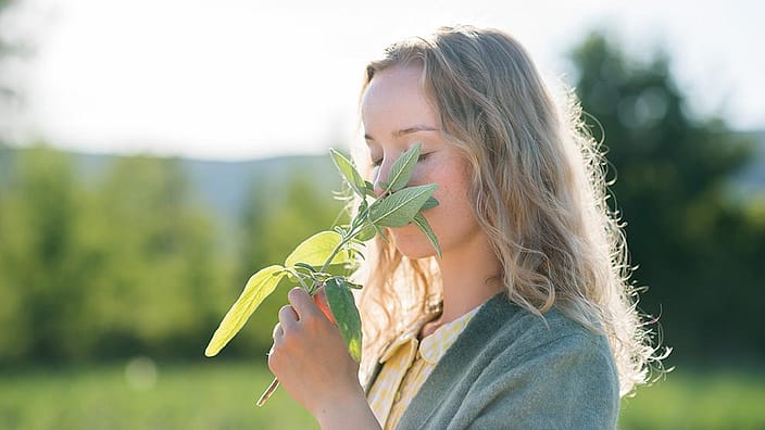 Kvinna doftar på Salvia