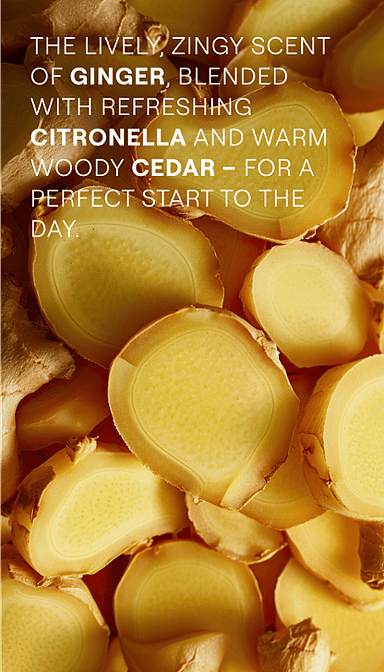Ginger. The lively, zingy scent of ginger, blended with refreshing citronella and warm woody cedar - for a perfect start to the day.