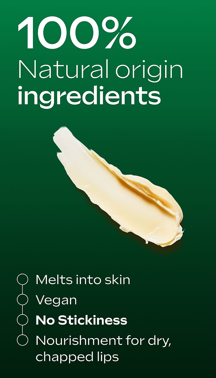 Skin Food Lip Stick
