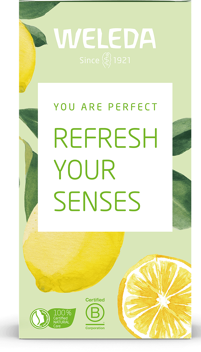 Refresh your senses - presentbox