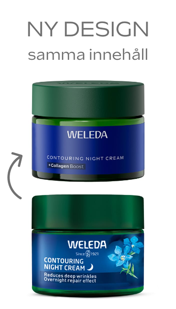 Contouring Night Cream