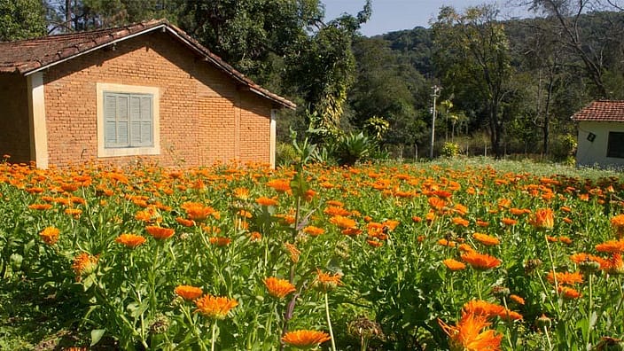a house in a field