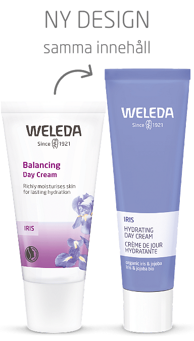 Hydrating Day Cream