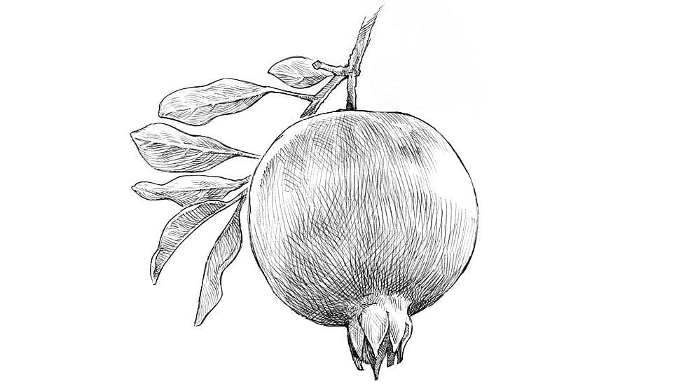 Granatäpple